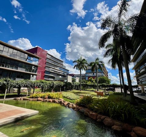 JD. VIVENDAS – GEORGINA BUSINESS PARK