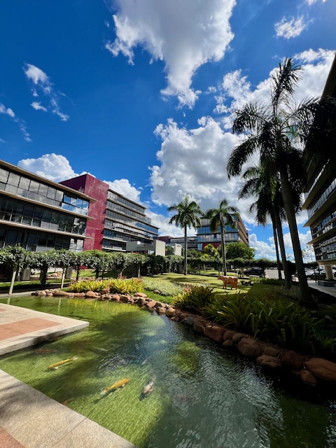 JD. VIVENDAS – GEORGINA BUSINESS PARK