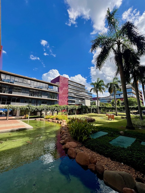 JD. VIVENDAS – GEORGINA BUSINESS PARK