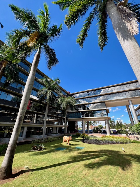 JD. VIVENDAS – GEORGINA BUSINESS PARK