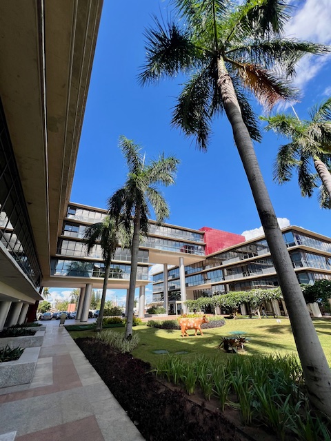 JD. VIVENDAS – GEORGINA BUSINESS PARK