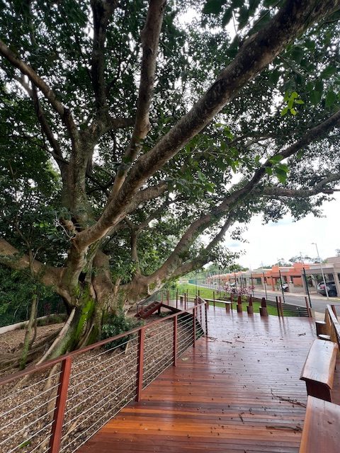 RAÍZES IMPPERIAL – BADY BASSIT